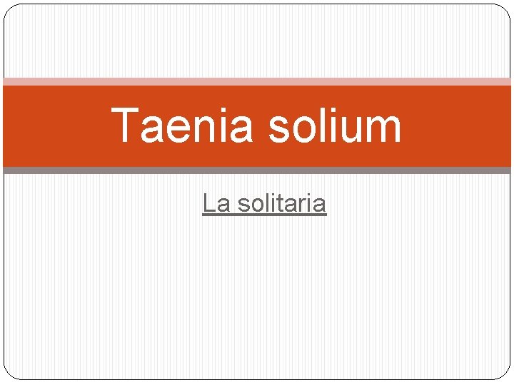 Taenia solium La solitaria 