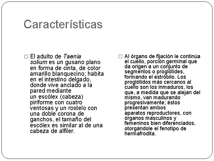 Características � El adulto de Taenia solium es un gusano plano en forma de