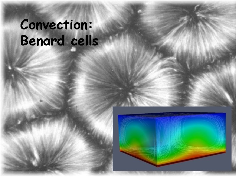 Convection: Benard cells 