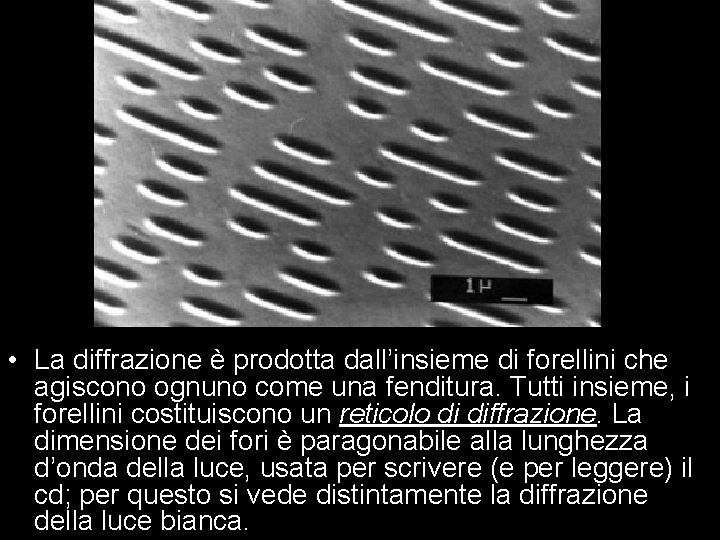 • La diffrazione è prodotta dall’insieme di forellini che agiscono ognuno come una • La diffrazione è prodotta dall’insieme di forellini che agiscono ognuno come una