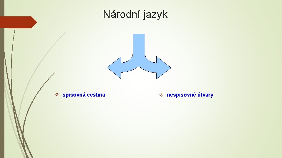 Národní jazyk spisovná čeština nespisovné útvary 