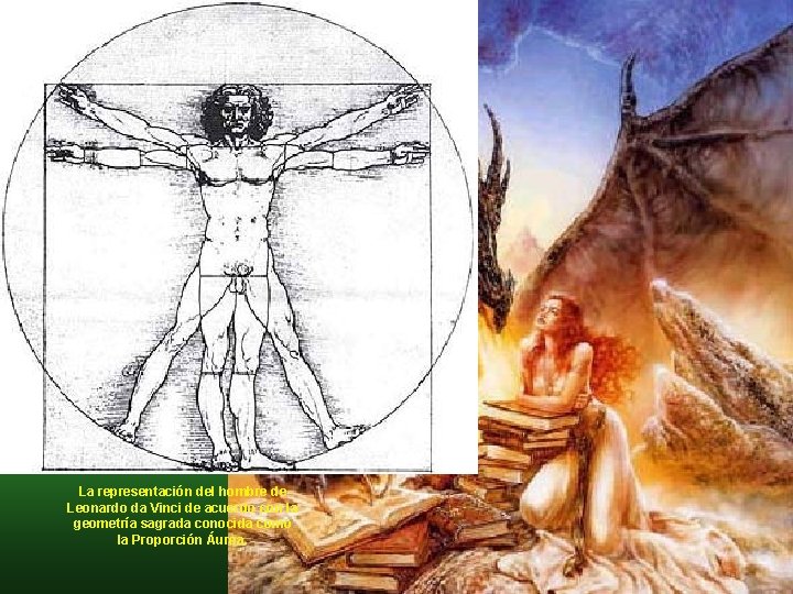 La representación del hombre de Leonardo da Vinci de acuerdo con la geometría La representación del hombre de Leonardo da Vinci de acuerdo con la geometría