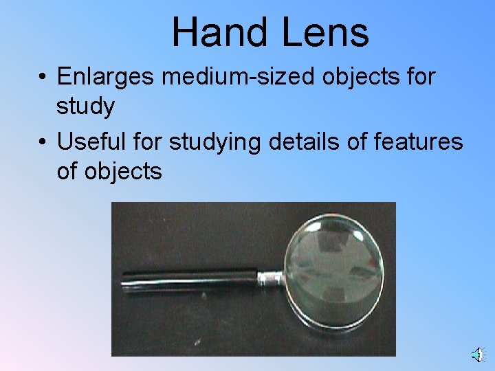 Hand Lens • Enlarges medium-sized objects for study • Useful for studying details of