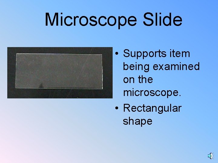 Microscope Slide • Supports item being examined on the microscope. • Rectangular shape 