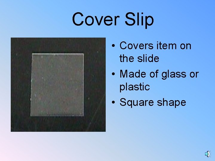 Cover Slip • Covers item on the slide • Made of glass or plastic