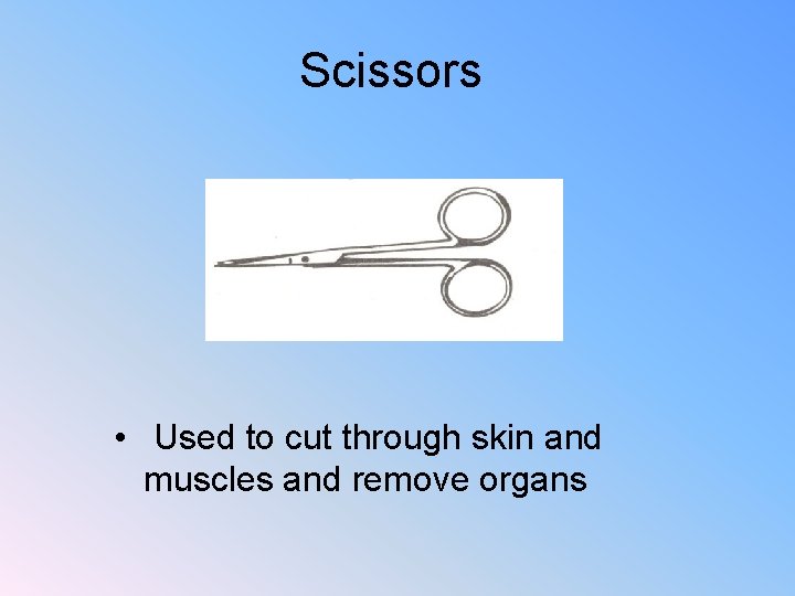 Scissors • Used to cut through skin and muscles and remove organs 
