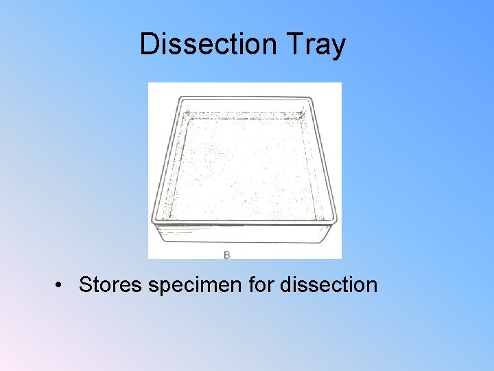 Dissection Tray • Stores specimen for dissection 