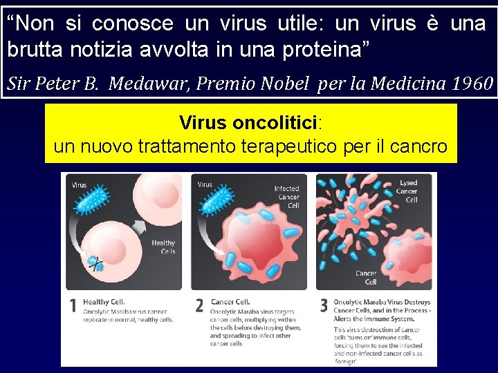 “Non si conosce un virus utile: un virus è una brutta notizia avvolta in “Non si conosce un virus utile: un virus è una brutta notizia avvolta in