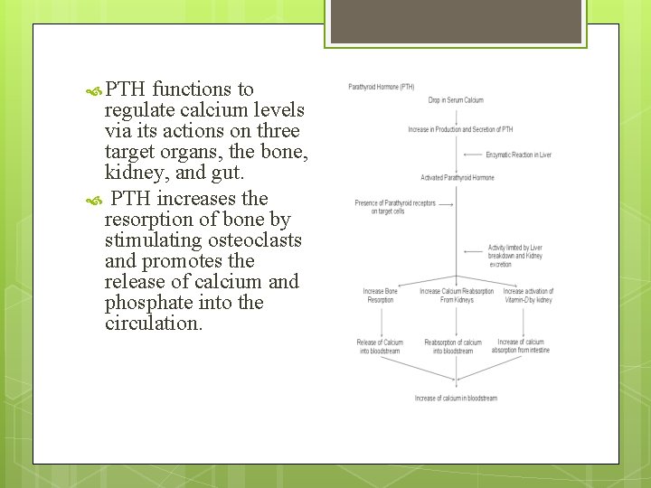  PTH functions to regulate calcium levels via its actions on three target organs,