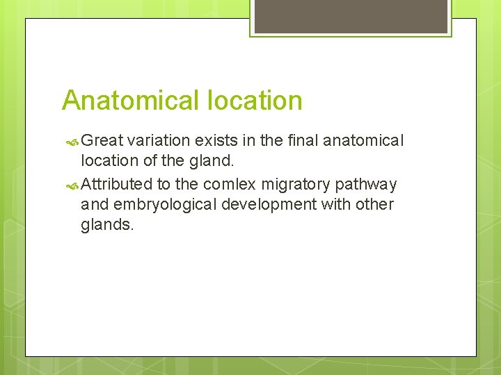 Anatomical location Great variation exists in the final anatomical location of the gland. Attributed