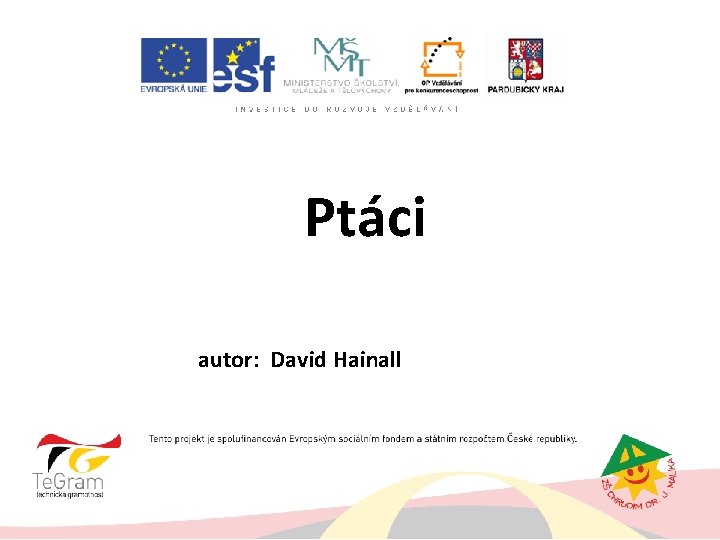 Ptáci autor: David Hainall 