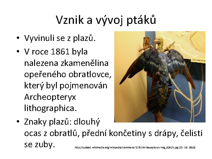 Vznik a vývoj ptáků • Vyvinuli se z plazů. • V roce 1861 byla