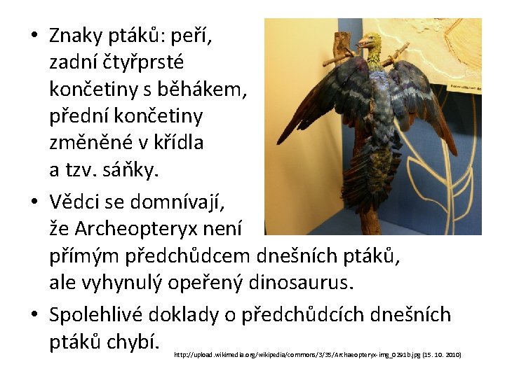  • Znaky ptáků: peří, zadní čtyřprsté končetiny s běhákem, přední končetiny změněné v