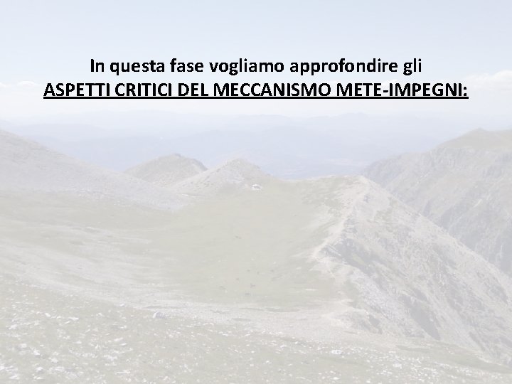 In questa fase vogliamo approfondire gli ASPETTI CRITICI DEL MECCANISMO METE-IMPEGNI: 