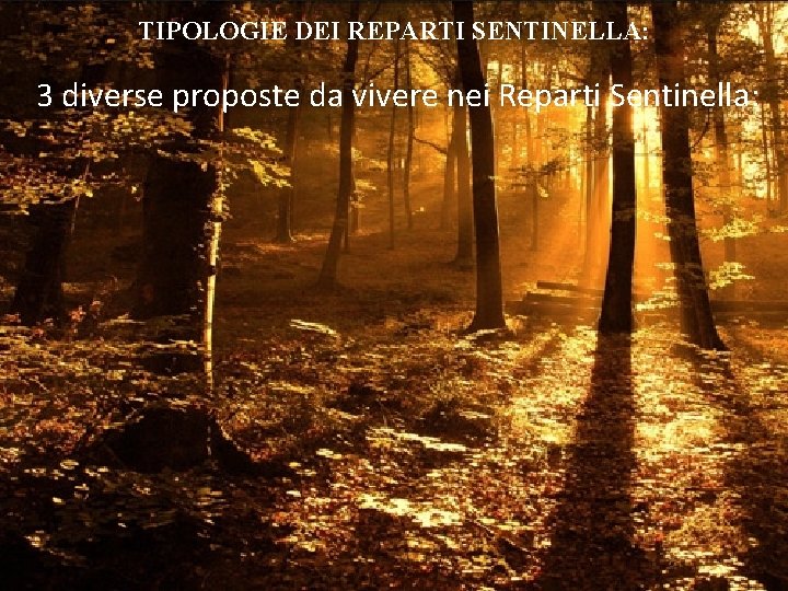 TIPOLOGIE DEI REPARTI SENTINELLA: 3 diverse proposte da vivere nei Reparti Sentinella: 