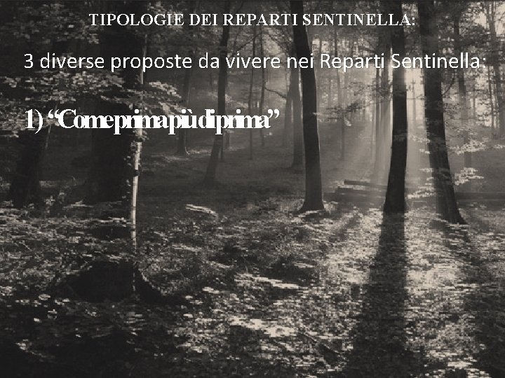 TIPOLOGIE DEI REPARTI SENTINELLA: 3 diverse proposte da vivere nei Reparti Sentinella: 1) “Come