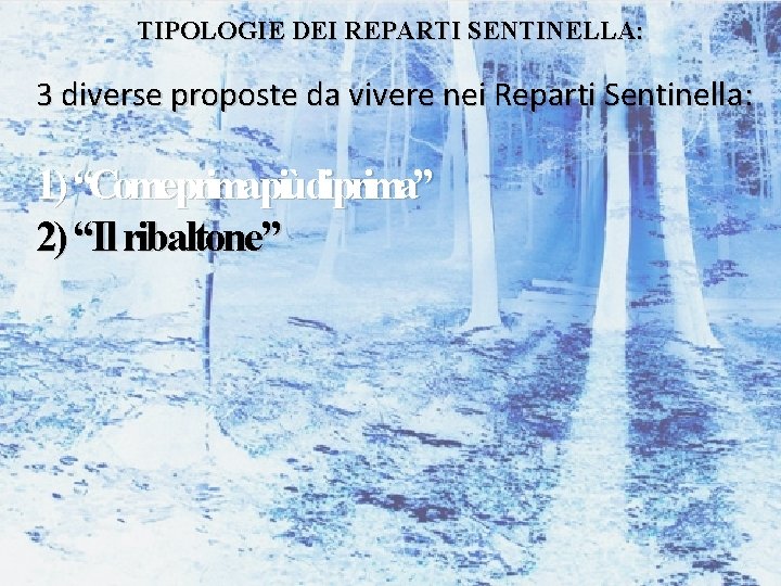 TIPOLOGIE DEI REPARTI SENTINELLA: 3 diverse proposte da vivere nei Reparti Sentinella: 1) “Come