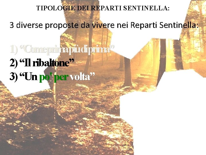 TIPOLOGIE DEI REPARTI SENTINELLA: 3 diverse proposte da vivere nei Reparti Sentinella: 1) “Come