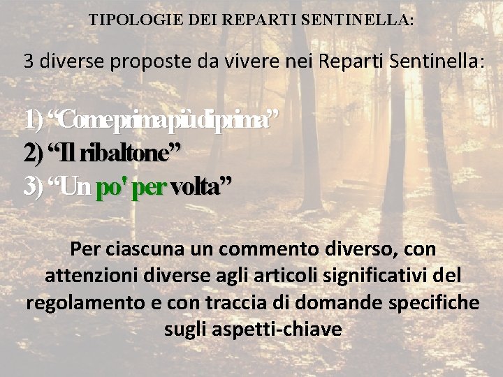 TIPOLOGIE DEI REPARTI SENTINELLA: 3 diverse proposte da vivere nei Reparti Sentinella: 1) “Come