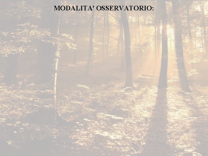 MODALITA' OSSERVATORIO: 