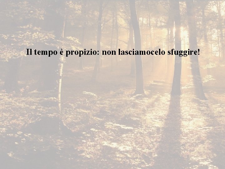 Il tempo è propizio: non lasciamocelo sfuggire! 