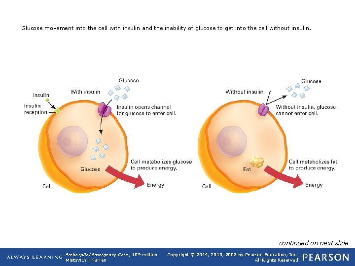 Glucose movement into the cell with insulin and the inability of glucose to get