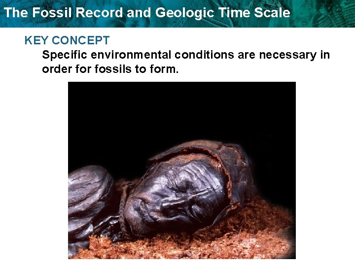 The Fossil Record and Geologic Time Scale KEY CONCEPT Specific environmental conditions are necessary