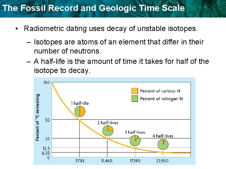 The Fossil Record and Geologic Time Scale • Radiometric dating uses decay of unstable