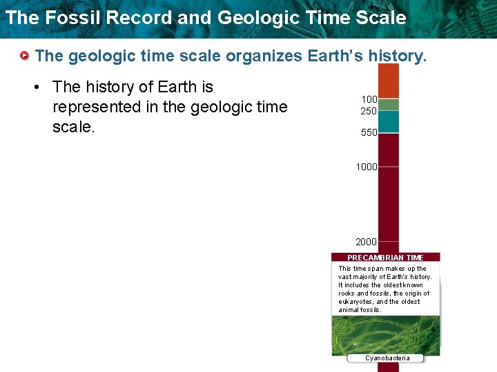 The Fossil Record and Geologic Time Scale The geologic time scale organizes Earth’s history.