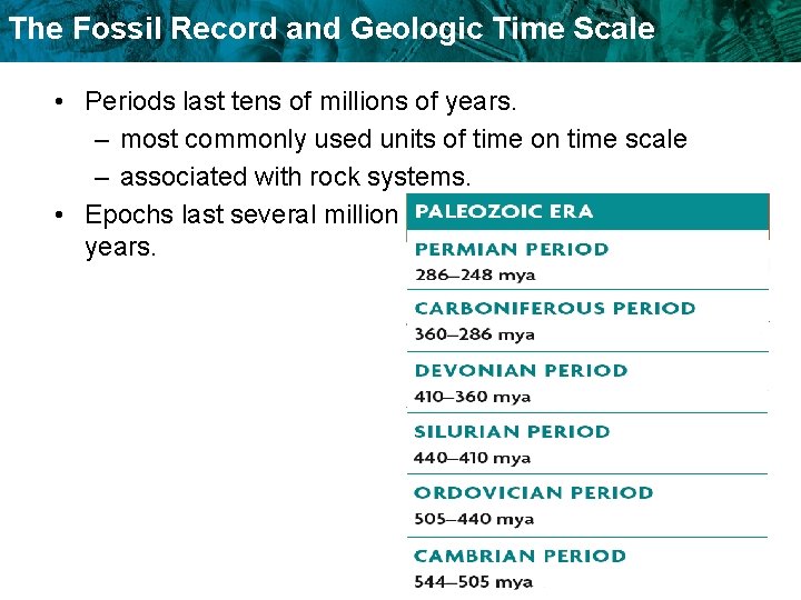 The Fossil Record and Geologic Time Scale • Periods last tens of millions of