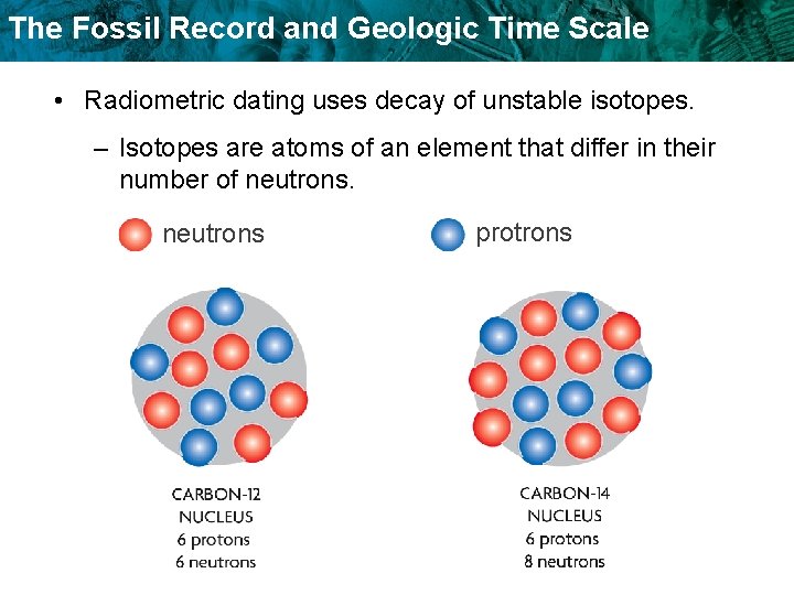 The Fossil Record and Geologic Time Scale • Radiometric dating uses decay of unstable