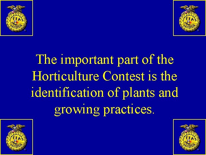 The important part of the Horticulture Contest is the identification of plants and growing