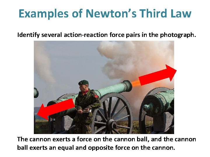 Examples of Newton’s Third Law Identify several action-reaction force pairs in the photograph. The