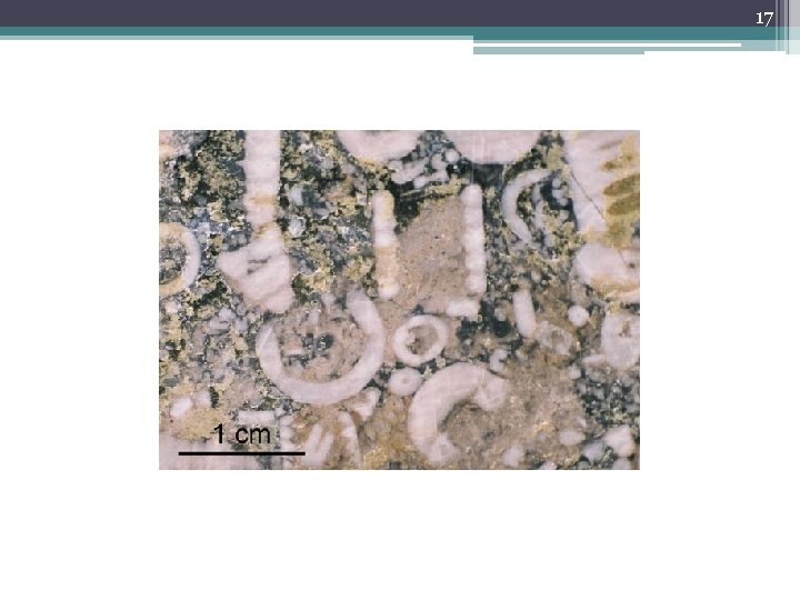 1 The Dynamic Rock Cycle The Earth Science
