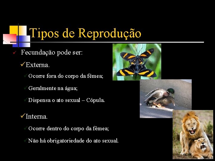 Tipos de Reprodução ü Fecundação pode ser: üExterna. üOcorre fora do corpo da fêmea;