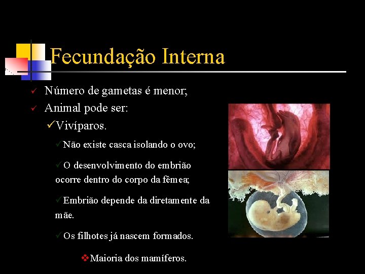 Fecundação Interna ü ü Número de gametas é menor; Animal pode ser: üVivíparos. üNão