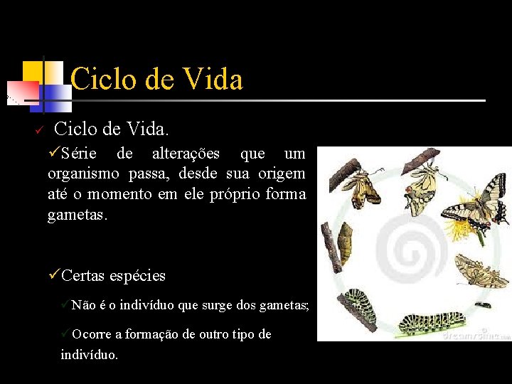 Ciclo de Vida ü Ciclo de Vida. üSérie de alterações que um organismo passa,