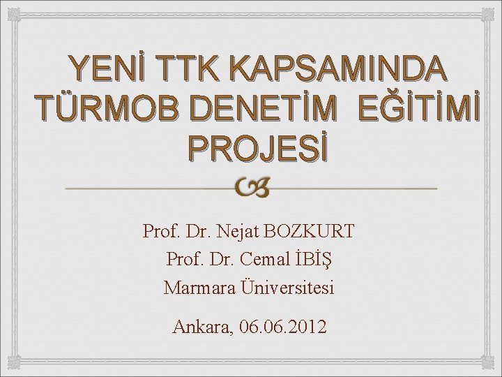 YENİ TTK KAPSAMINDA TÜRMOB DENETİM EĞİTİMİ PROJESİ Prof. Dr. Nejat BOZKURT Prof. Dr. Cemal