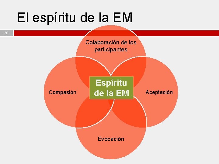 El espíritu de la EM 28 Colaboración de los participantes Compasión Espíritu de la