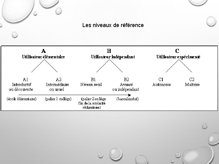 Les niveaux de référence 