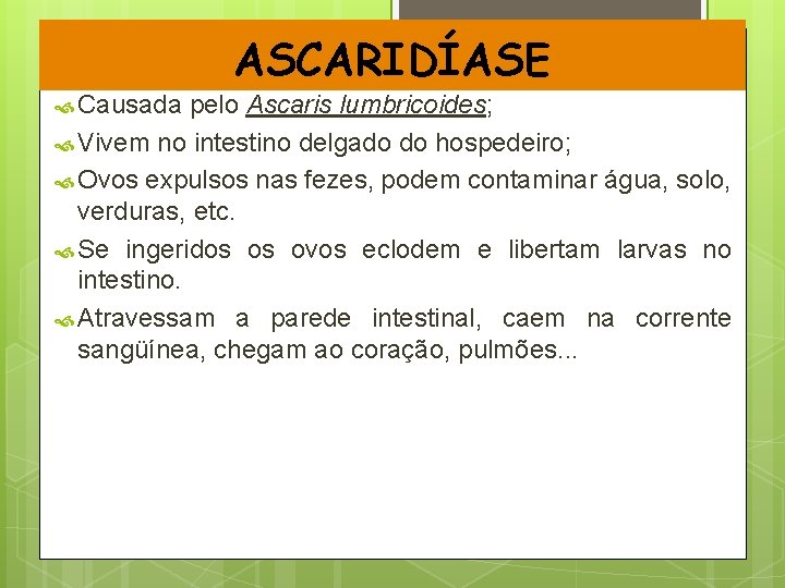 ASCARIDÍASE Causada pelo Ascaris lumbricoides; Vivem no intestino delgado do hospedeiro; Ovos expulsos nas