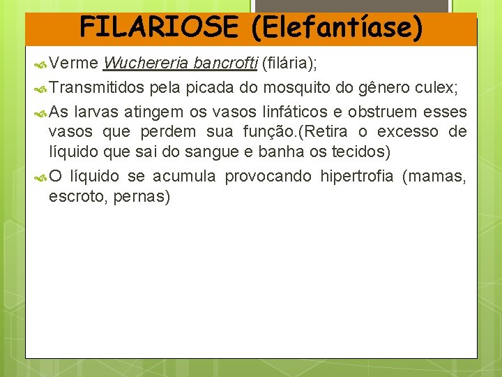 FILARIOSE (Elefantíase) Verme Wuchereria bancrofti (filária); Transmitidos pela picada do mosquito do gênero culex;