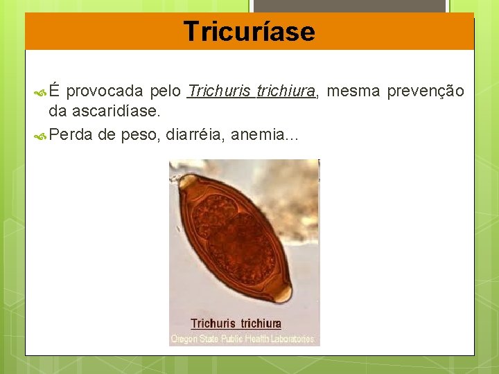 Tricuríase É provocada pelo Trichuris trichiura, mesma prevenção da ascaridíase. Perda de peso, diarréia,