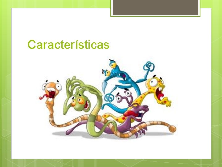 Características 