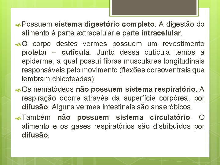  Possuem sistema digestório completo. A digestão do alimento é parte extracelular e parte