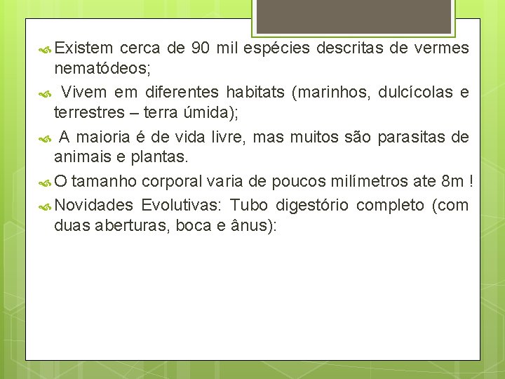  Existem cerca de 90 mil espécies descritas de vermes nematódeos; Vivem em diferentes