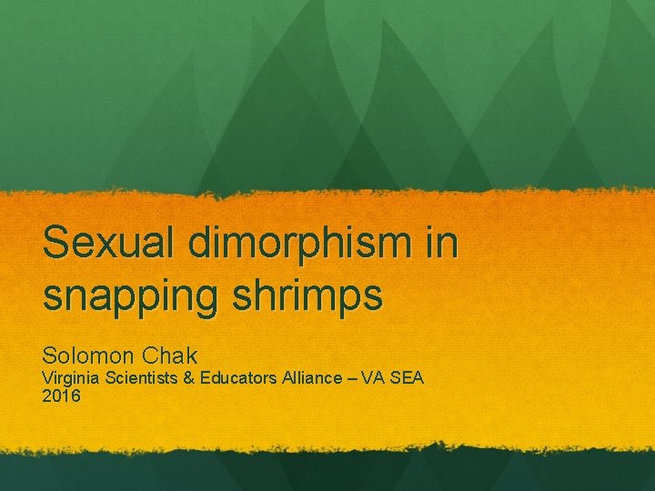 Sexual dimorphism in snapping shrimps Solomon Chak Virginia Scientists & Educators Alliance – VA