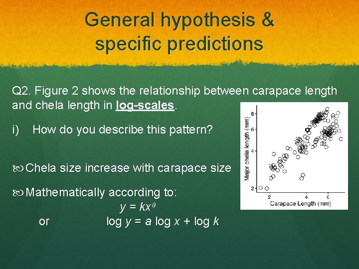 General hypothesis & specific predictions Q 2. Figure 2 shows the relationship between carapace