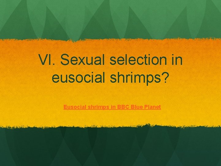VI. Sexual selection in eusocial shrimps? Eusocial shrimps in BBC Blue Planet 