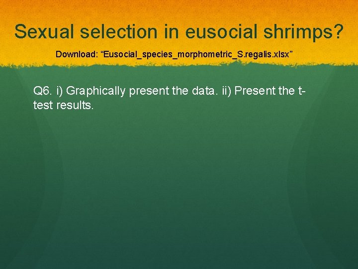 Sexual selection in eusocial shrimps? Download: “Eusocial_species_morphometric_S. regalis. xlsx” Q 6. i) Graphically present